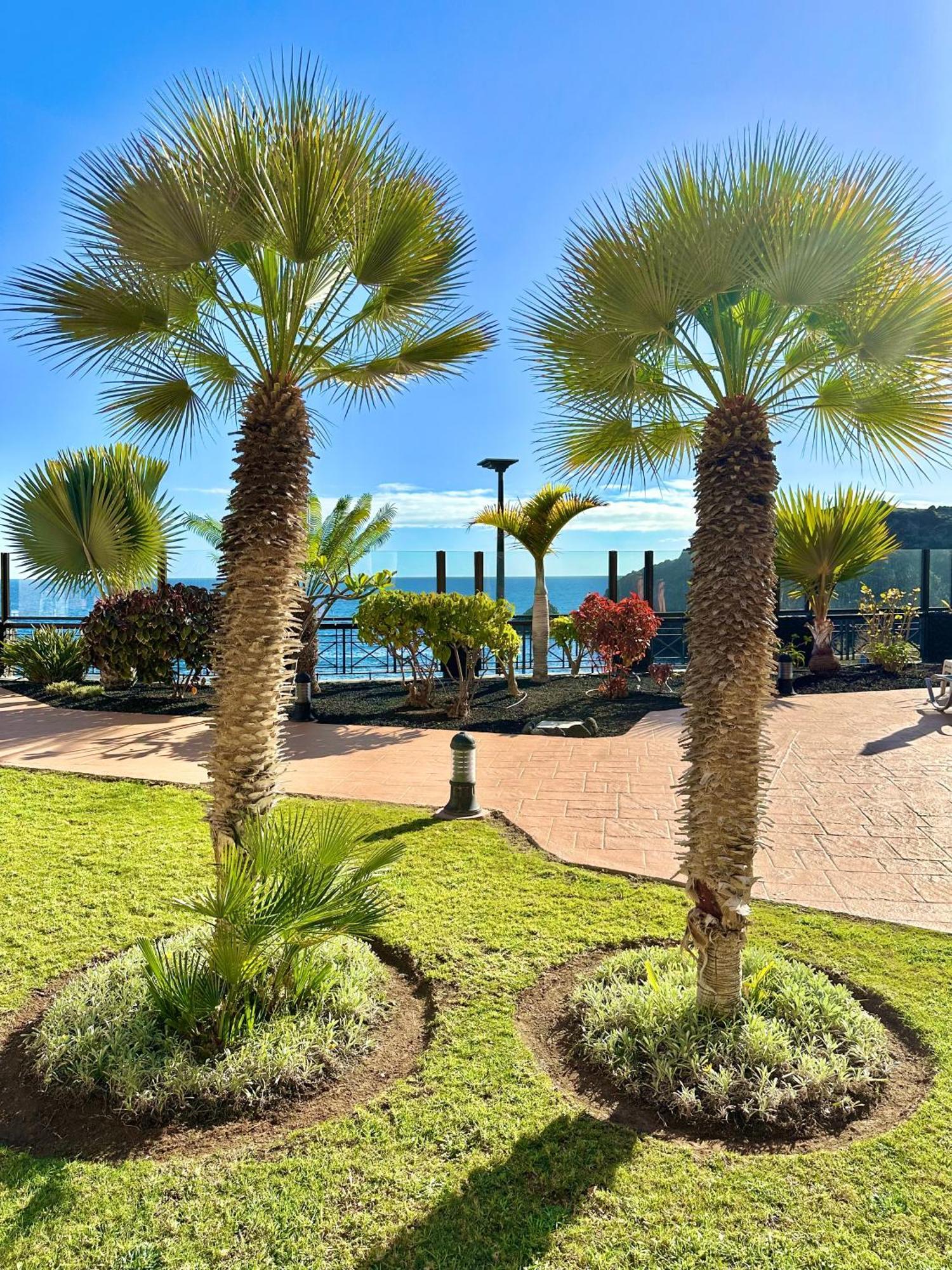 El Nautico Apartment サンミゲル・デ・アボナ エクステリア 写真